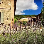 Il Cardello *