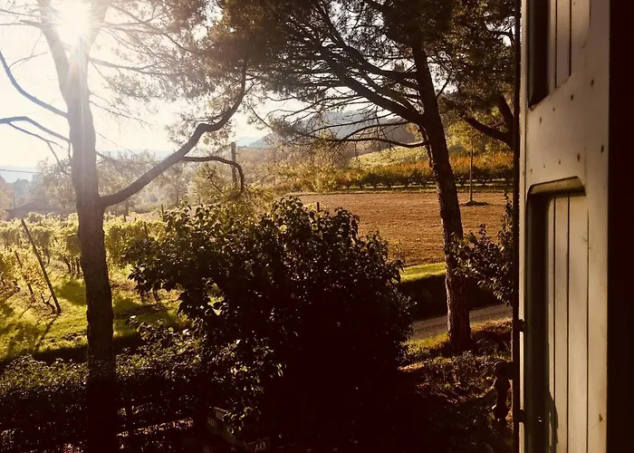 Couette-café Il Cardello *